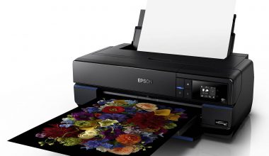 EPSON SURECOLOR P800 13"