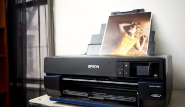 EPSON SURECOLOR P800 13"