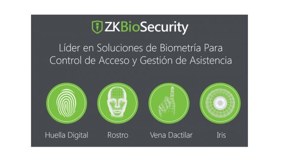 ZKTECO ZK-BS-VID-P64 4