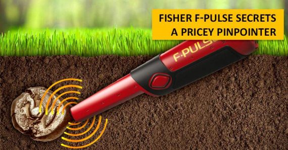 FISHER F-PULSE 4