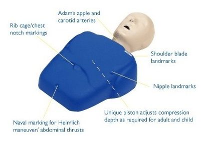 CPR PROMPT  ADULT AZUL