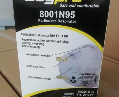SEGPRO 8001 N95