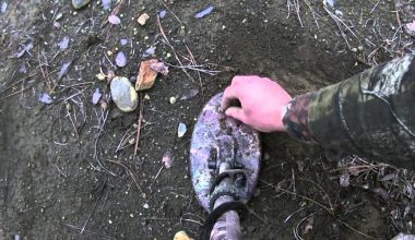 NOKTA MAKRO FORS GOLD+ (PLUS)