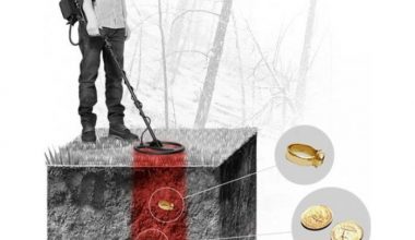 NOKTA MAKRO CF77 PRO PACKAGE