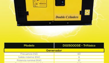 BALLACK DG15000SE (380V)