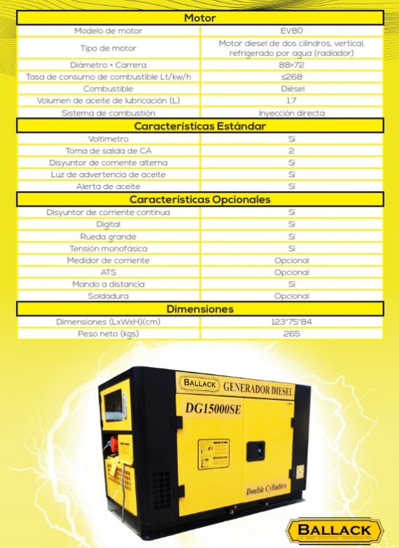 BALLACK DG15000SE (380V) 3