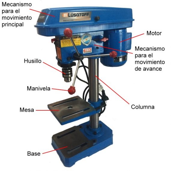 CATTINI BDP – 13 2