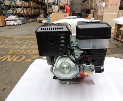 CATTINI RI177N