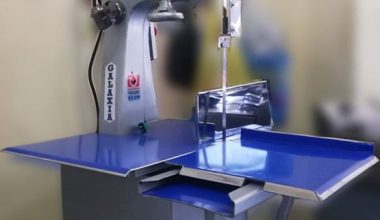 EL EDEN  Hobarth mediana