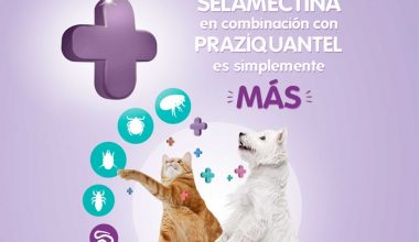 Xelamec Combi Spot Cja 5 Pip X 2 Ml