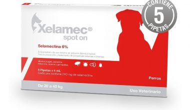 Xelamec Spot 4 Ml 1