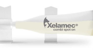 Xelamec Combi Spot Cja 5 Pip X 2 Ml