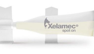 Xelamec Spot 4 Ml