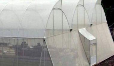PROTEKTA 4x100metros 1