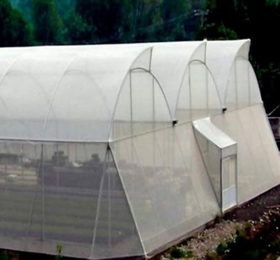PROTEKTA 4x100metros