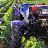 MANCHA 18 HP + 4 ACCESORIOS