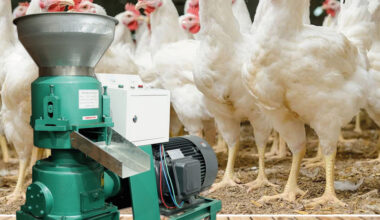 PILADORA DE ARROZ TIGRILLO  SB-50 1