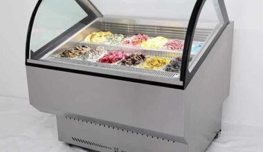 EXHIBIDOR DE HELADOS GASTRO 20NFJR 1